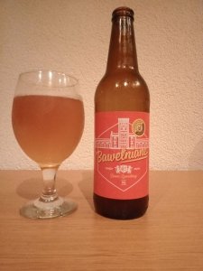 Księży Młyn: Bawełniane - Pils