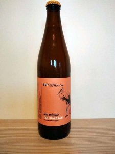 Stu Mostów: Last Minute. DDH Pale Ale