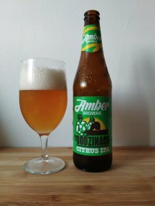 Amber po godzinach - Citrus IPA. Browar Amber