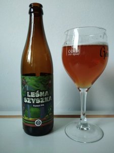 Leśna Szyszka - Forest IPA