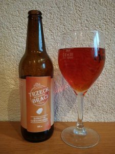 Bursztyn Dziekanowicki. Browar Trzech Braci