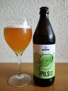 Pils. Browar Port Gdynia