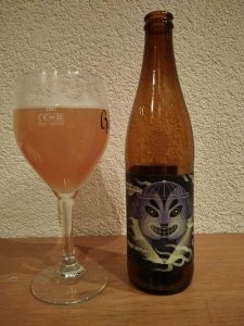 Three Hops Serum. NEIPA. Browar Stu Mostów