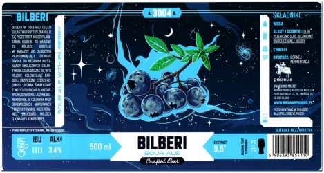 Browar Probus YYYY Bilberi Sour Ale